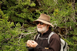 Greg French