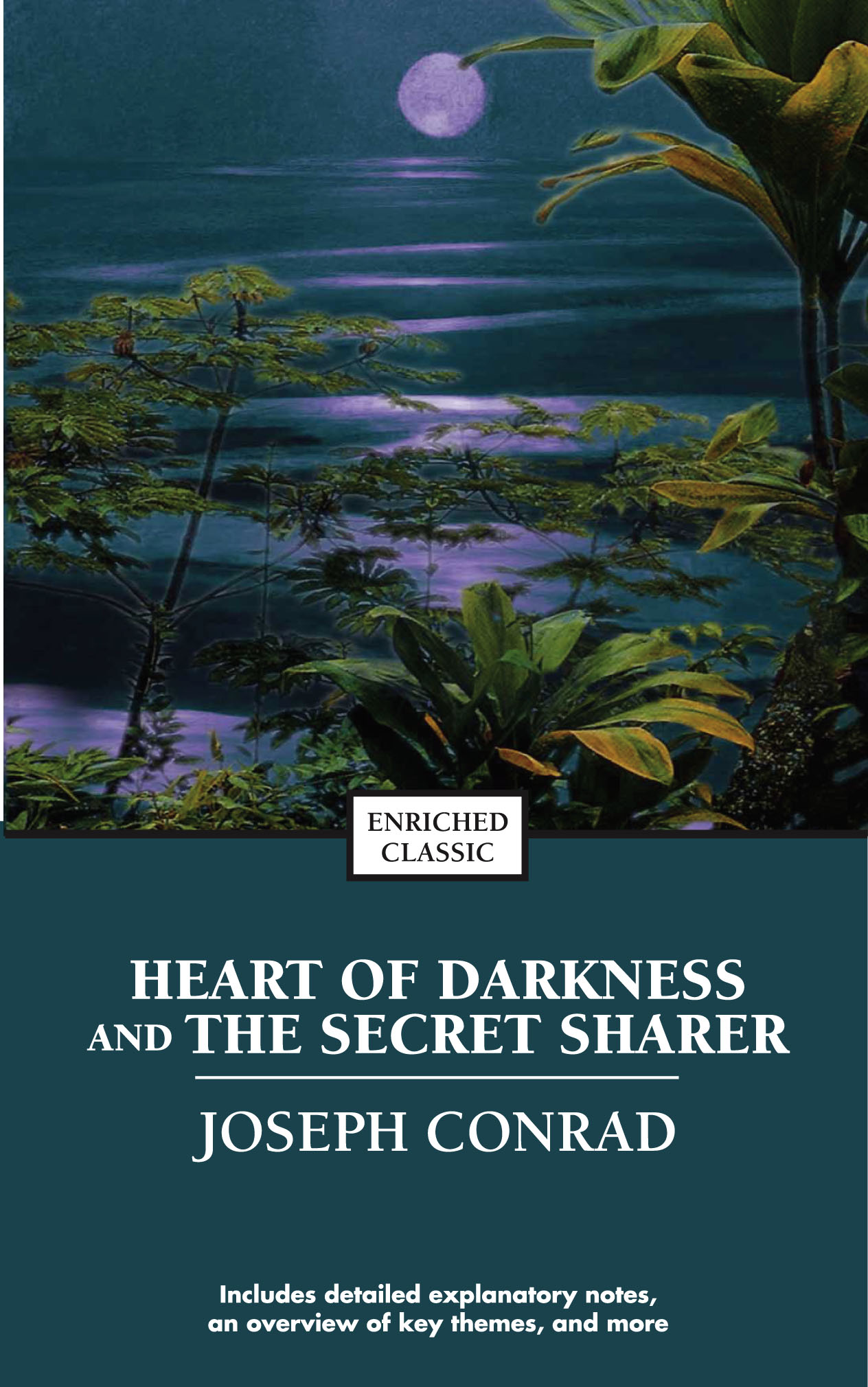 Heart of darkness promo book