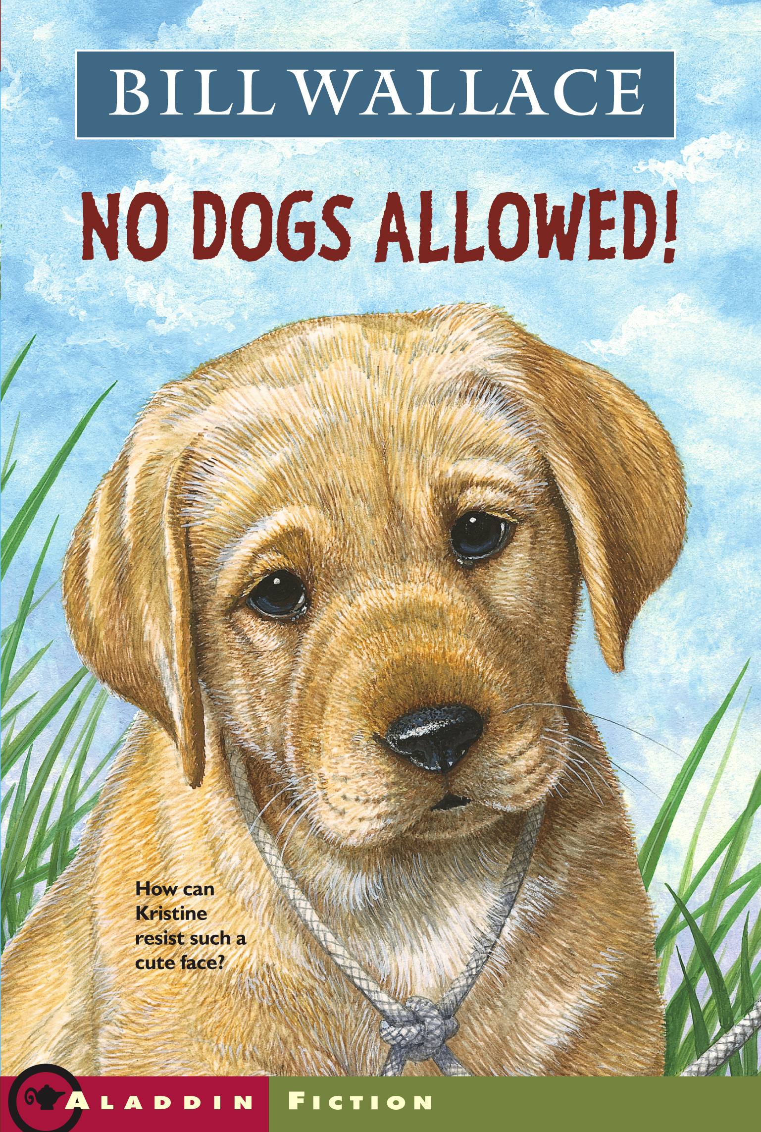 No Dogs Allowed! | Book by Bill Wallace | Official ...