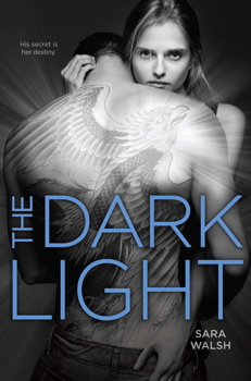 The Dark Light The Dark Light