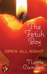Nicole Camden Nicole Camden book cover