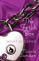 Nicole Camden Nicole Camden book cover