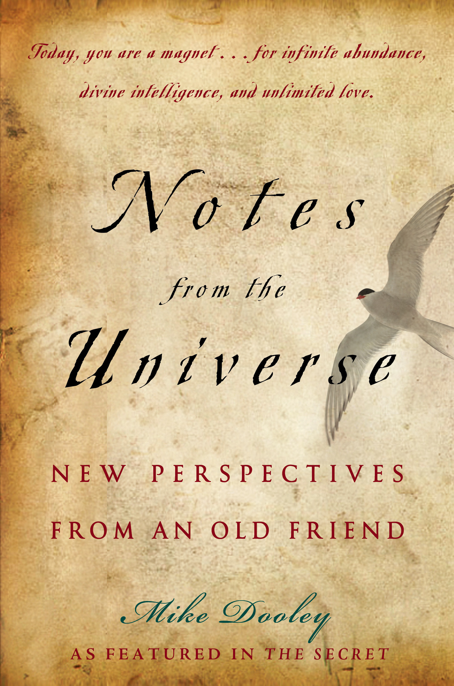 Notes from the Universe | Book by Mike Dooley | Official ...