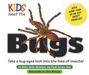 Kids Meet the Bugs Kids Meet the Bugs