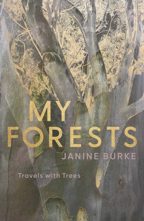 My Forests