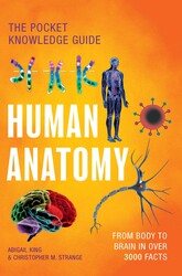 Human Anatomy
