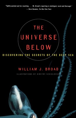 Universe Below