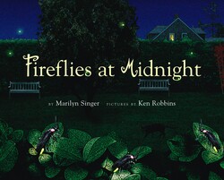 Fireflies at Midnight Fireflies at Midnight