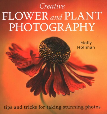 Creative Flower and Plant Photography Creative Flower and Plant Photography