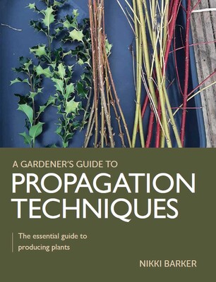 Propagation Techniques Propagation Techniques