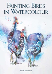 Painting Birds In Watercolour Painting Birds In Watercolour