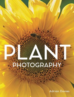 Plant Photography Plant Photography