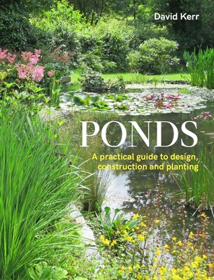 Ponds Ponds