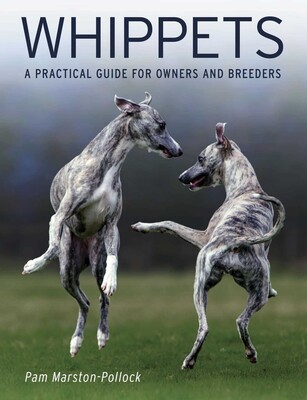 Whippets Whippets