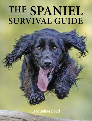 Spaniel Survival Guide Spaniel Survival Guide