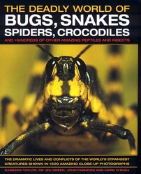 SNAKES, CROCODILES and LIZARDS　洋書　写真集 The Deadly World of Bugs, Snakes, Spiders, Crocodiles | Book