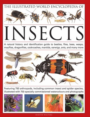 The Illustrated World Encyclopedia of Insects The Illustrated World Encyclopedia of Insects
