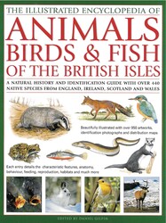 Illustrated Encyclopedia of Animals, Birds & Fish of British Isles Illustrated Encyclopedia of Animals, Birds & Fish of British Isles