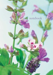 Notebook: Scented Geranium Notebook: Scented Geranium