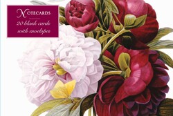 Card Box of 20 Notecards and Envelopes: Redoute Peony Card Box of 20 Notecards and Envelopes: Redoute Peony