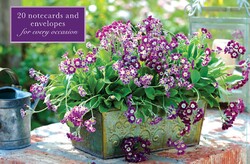 Card Box of 20 Notecards and Envelopes: Primula Card Box of 20 Notecards and Envelopes: Primula