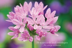 Card Box of 20 Notecards and Envelopes: Allium Card Box of 20 Notecards and Envelopes: Allium