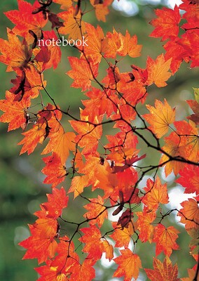 Lined Notebook: Autumn Leaf Lined Notebook: Autumn Leaf