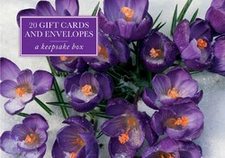 Tin Box of 20 Gift Cards and Envelopes: Crocus Tin Box of 20 Gift Cards and Envelopes: Crocus