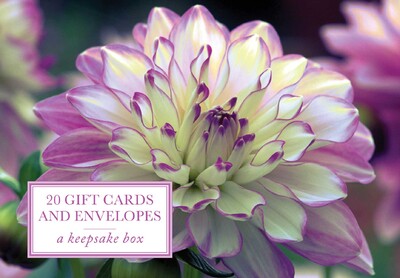 Tin Box of 20 Gift Cards and Envelopes: Dahlia Tin Box of 20 Gift Cards and Envelopes: Dahlia