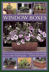 Wndow Boxes