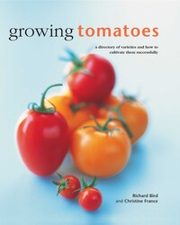 Growing Tomatoes Growing Tomatoes