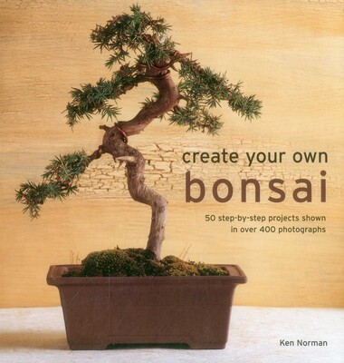 Create Your Own Bonsai Create Your Own Bonsai