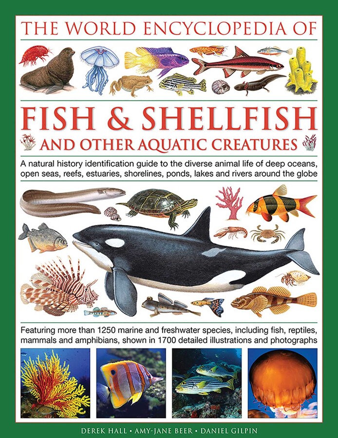 Illlustrated Encyclopedia of Fish & Shellfish of the World