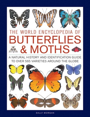 The World Encyclopedia of Butterflies & Moths | Book by