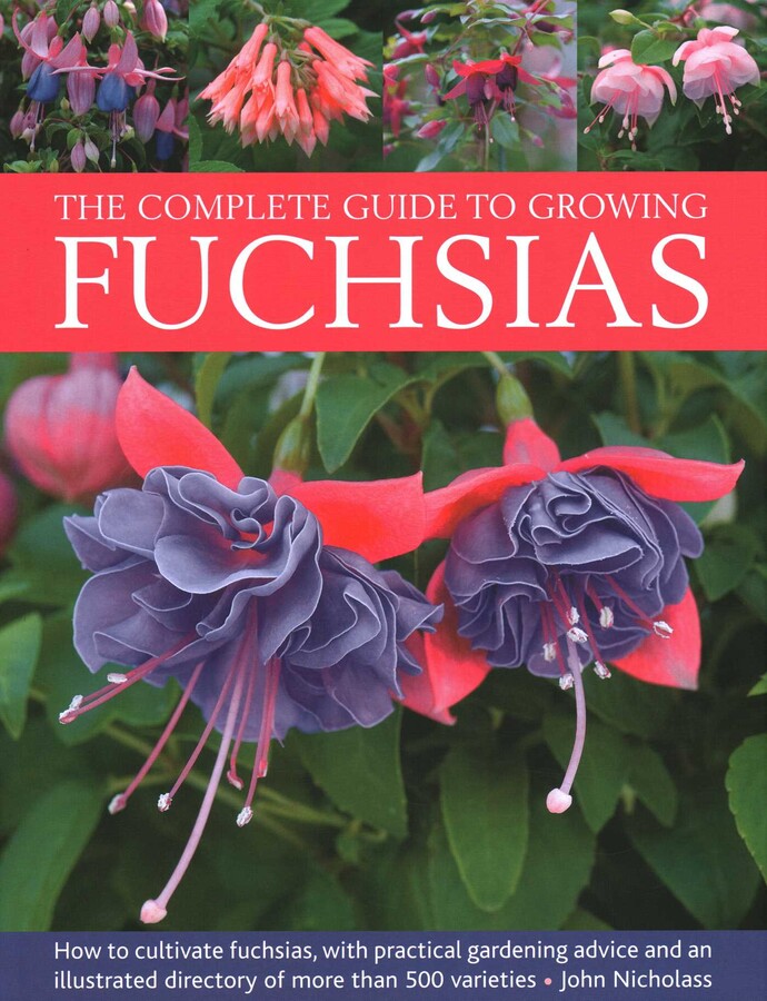 Complete Guide to Growing Fuchsias
