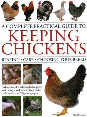 Complete Practical Guide to Keeping Chickens Complete Practical Guide to Keeping Chickens
