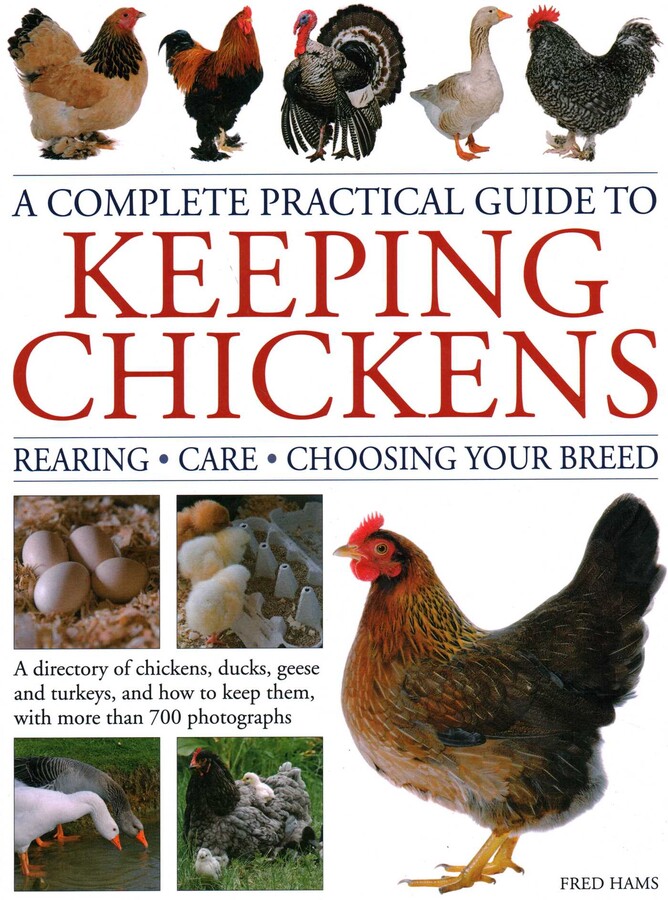 Complete Practical Guide to Keeping Chickens