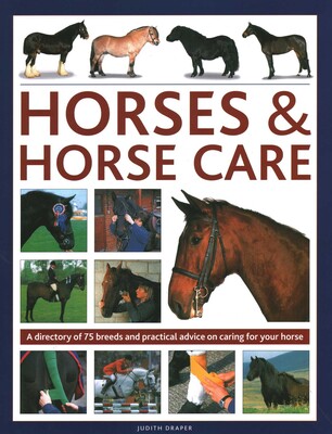 Horses & Horse Care Horses & Horse Care