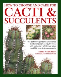 How to  Choose and Care for Cacti & Succulents