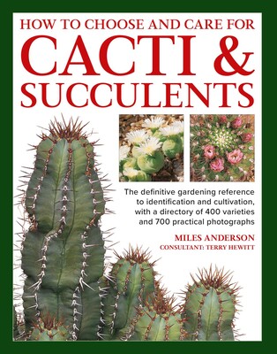 How to Choose and Care for Cacti & Succulents How to Choose and Care for Cacti & Succulents