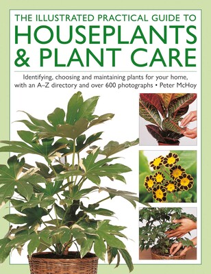 Houseplants & Plant Care, Illustrated Practical Guide to