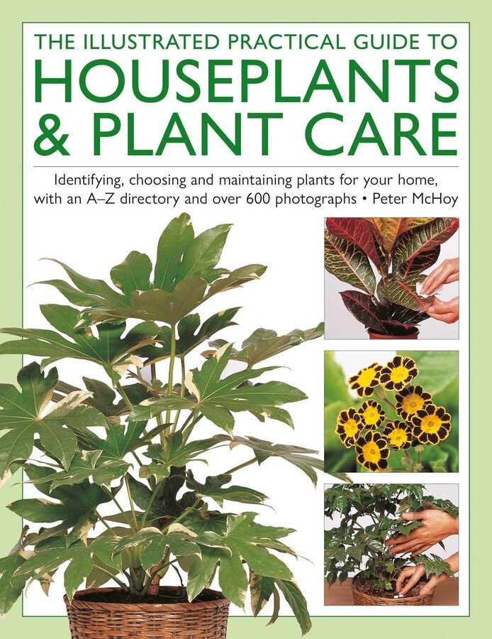 Houseplants & Plant Care, Illustrated Practical Guide to