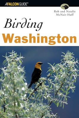 Birding Washington Birding Washington