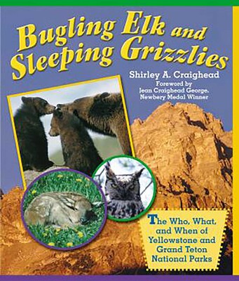 Bugling Elk and Sleeping Grizzlies Bugling Elk and Sleeping Grizzlies