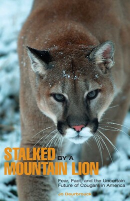 Stalked by a Mountain Lion Stalked by a Mountain Lion