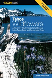 Tahoe Wildflowers Tahoe Wildflowers