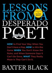 Lessons from a Desperado Poet Lessons from a Desperado Poet