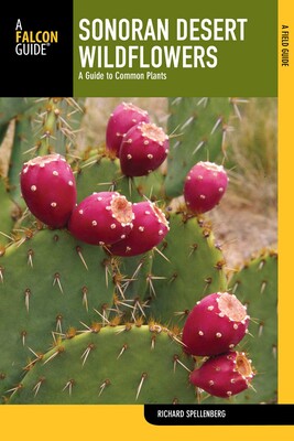 Sonoran Desert Wildflowers Sonoran Desert Wildflowers