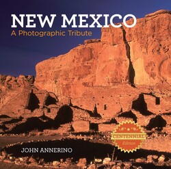New Mexico New Mexico