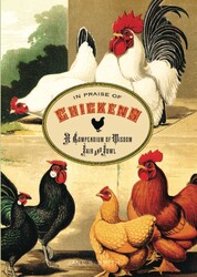 In Praise of Chickens